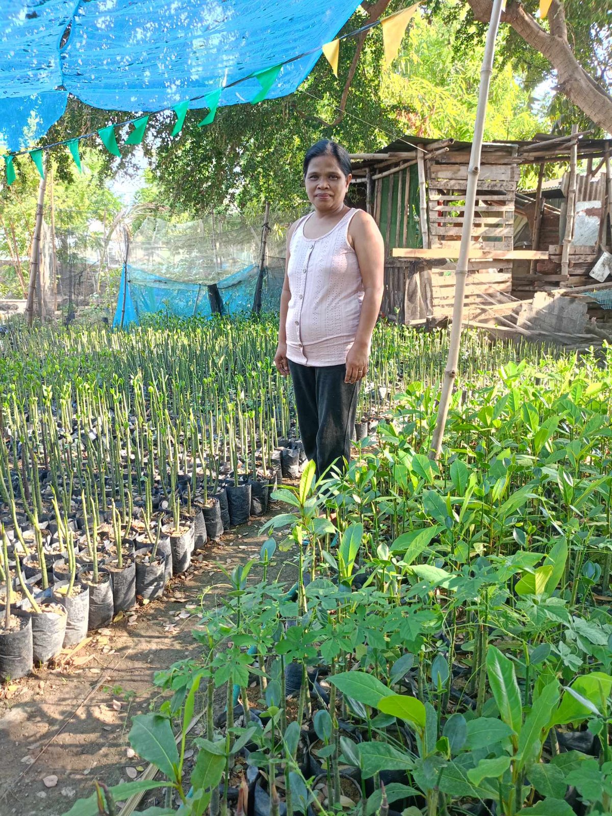 Delailah Lacadue leads the Dulao Fishpond/Fishpen Producers Cooperative in taking care of the mangrove forests in Barangay Dulao in Aringay, La Union.